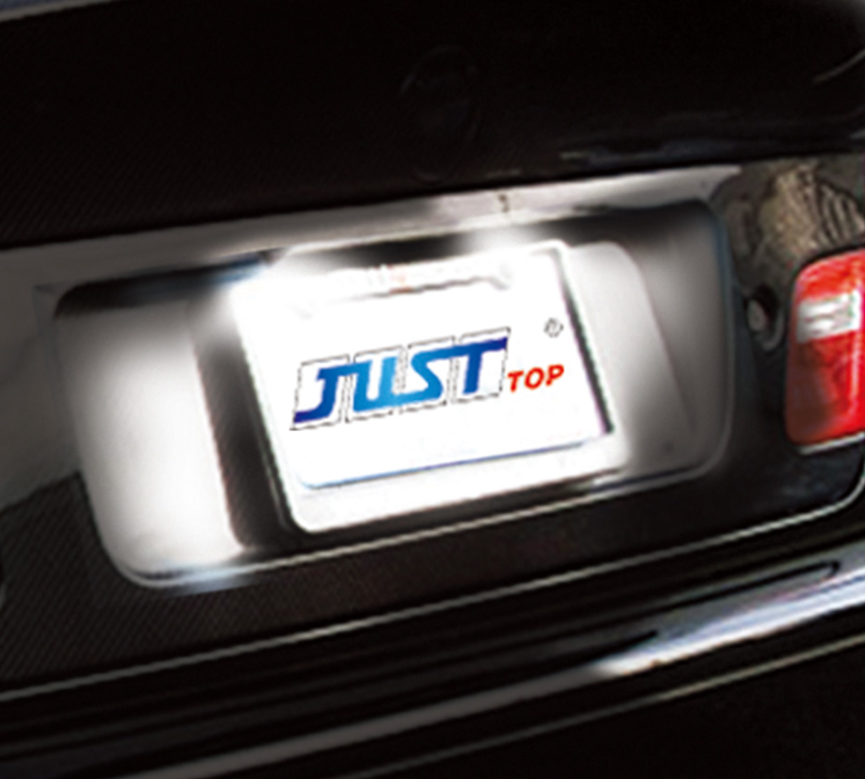 License Plate Light